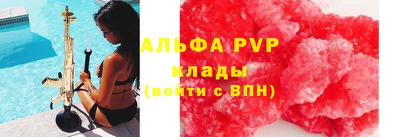 стафф Арсеньев