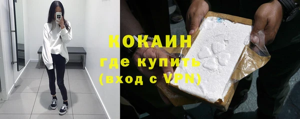 стафф Арсеньев