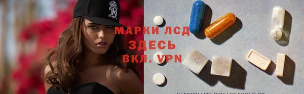 ГАЛЛЮЦИНОГЕННЫЕ ГРИБЫ Аркадак