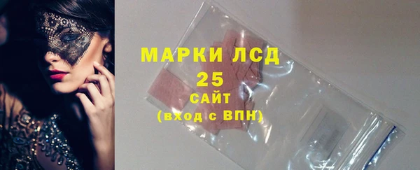 ГАЛЛЮЦИНОГЕННЫЕ ГРИБЫ Аркадак